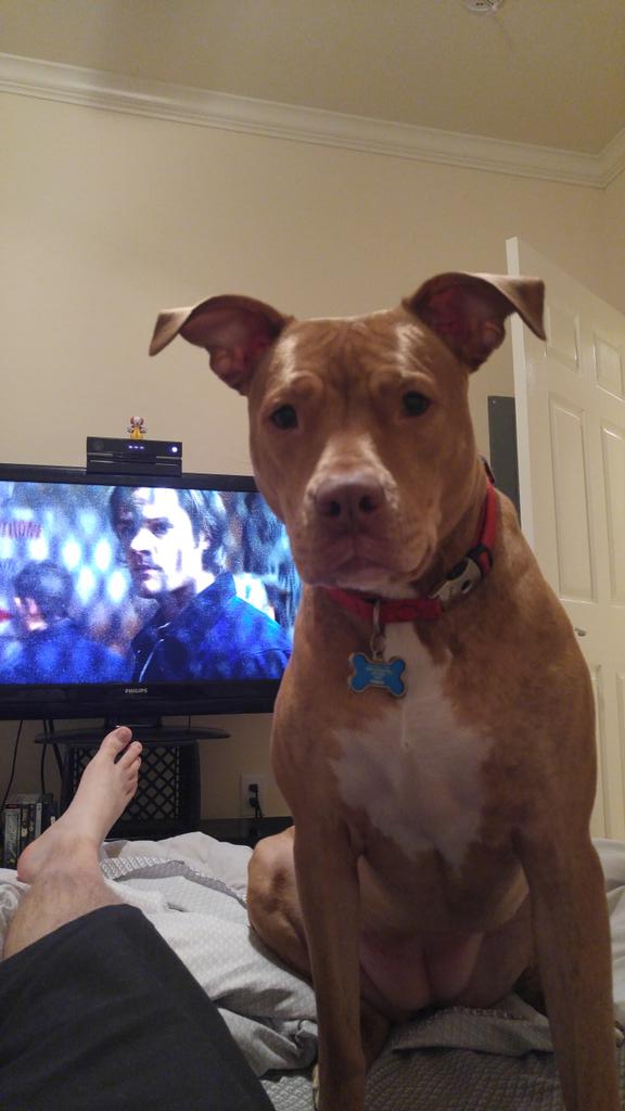 Great_thumper's tweet photo. She won't stop lol https://t.co/R3Wm63KXOl