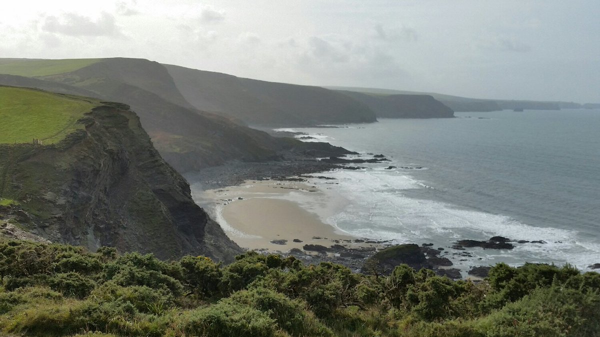 Keith Williams 🍊🍊🍊 tweet media