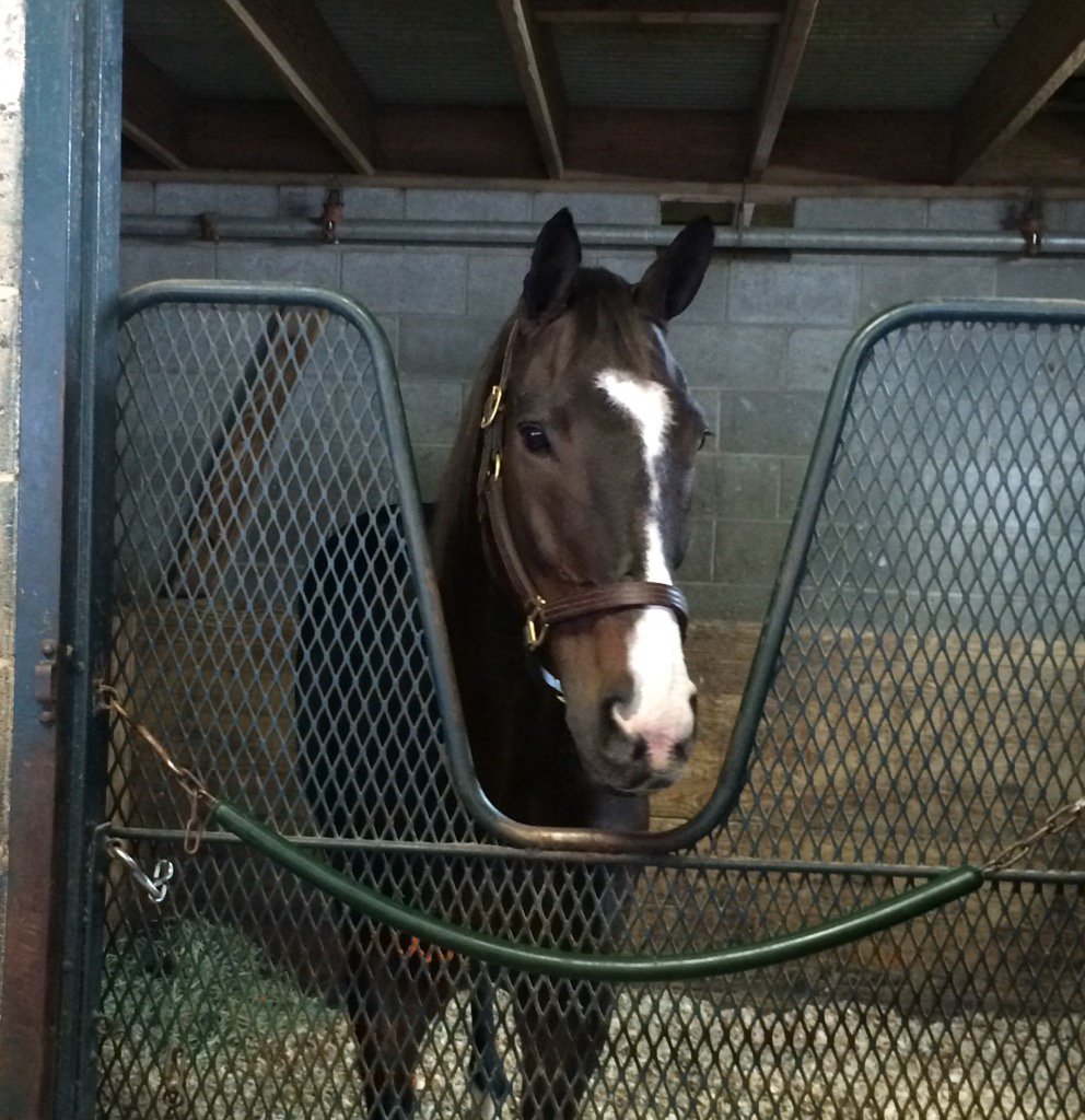 .<a href="/IamLavaMan/">I Am Lava Man</a> in person!