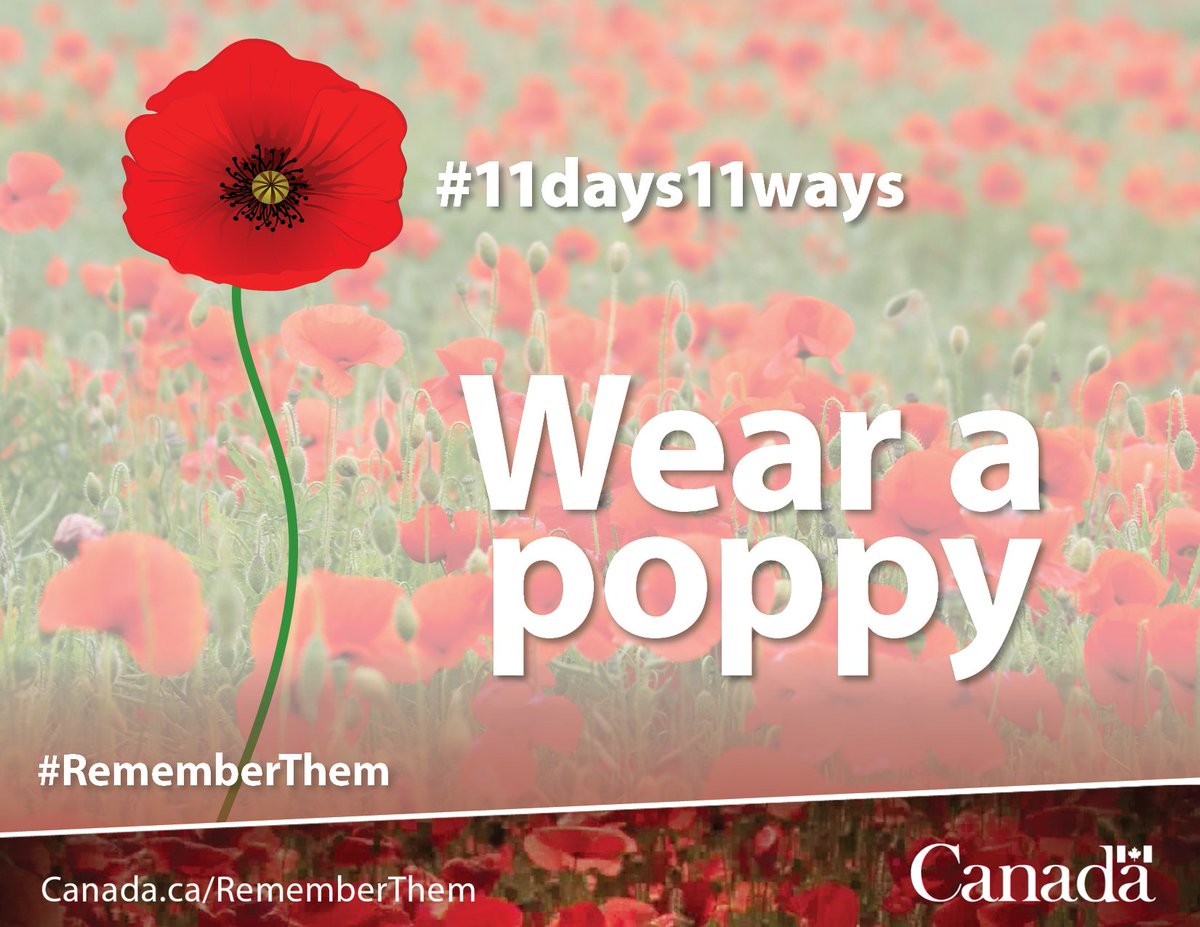 VeteransENG_CA's tweet photo. Wear a poppy #RememberThem #11days11ways https://t.co/fofMkJhz1P https://t.co/hZvhWY2xVe