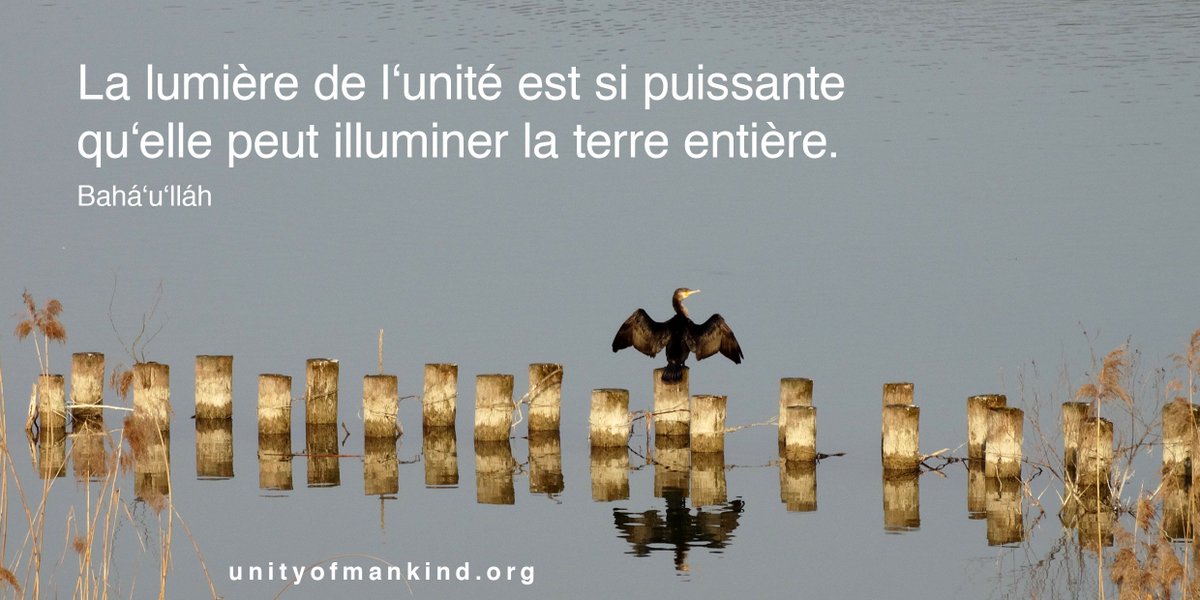 Unity_Einheit's tweet image. So powerful is the light of unity that it can illuminate the whole earth. #bahaullah #bahai #unityofmankind