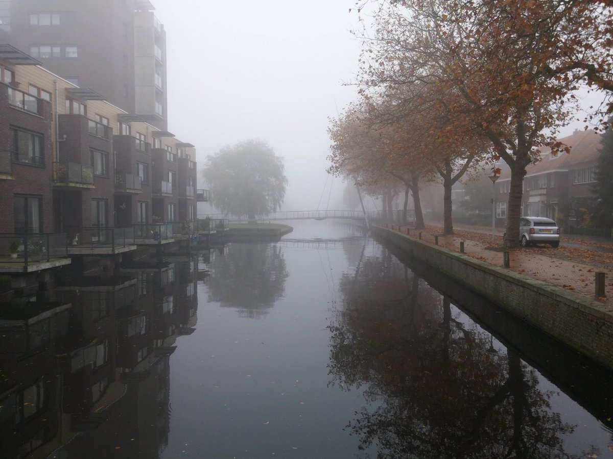 ASMRDELIVERY's tweet photo. I live in the city. It's foggy but really calm and completely quiet.. Very relaxing.. Enjoy your sunday! #Falloween https://t.co/W807gUuGlI