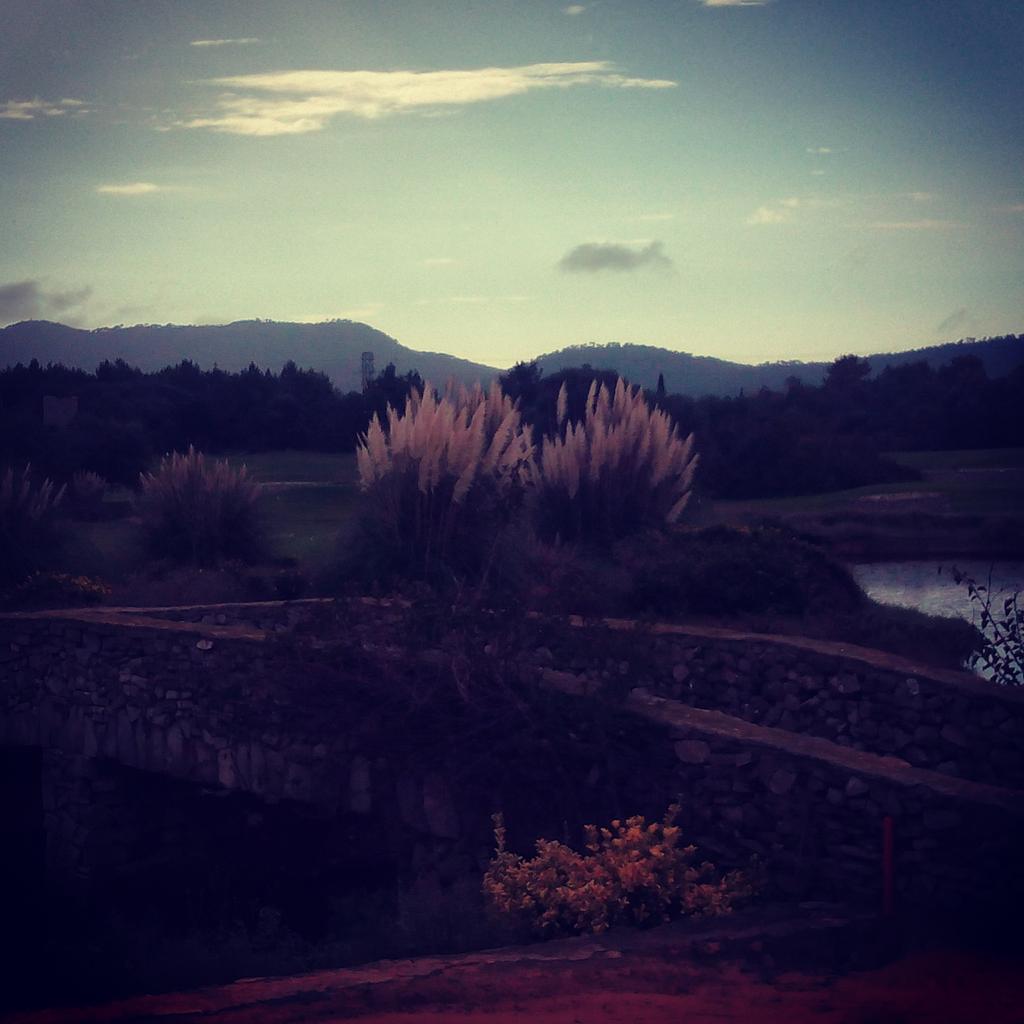 Timons77's tweet photo. Domingo de #golf en #Capdeperagolf con Massimo, Luis Pro y Mario de Luca #wonderful #golfontherocks https://t.co/MLT4Py0Zt5