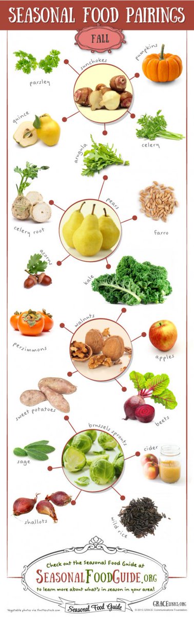 EcoCentered's tweet photo. Here's surprising pairings for some of our favorite, #seasonal Fall foods! https://t.co/49WtS5encR #infographic https://t.co/MdHiWyVKwy