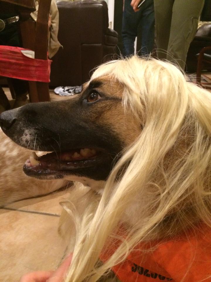 FrontageRoad's tweet photo. #HappyHalloween #masscot https://t.co/ZbV3xE9zD3