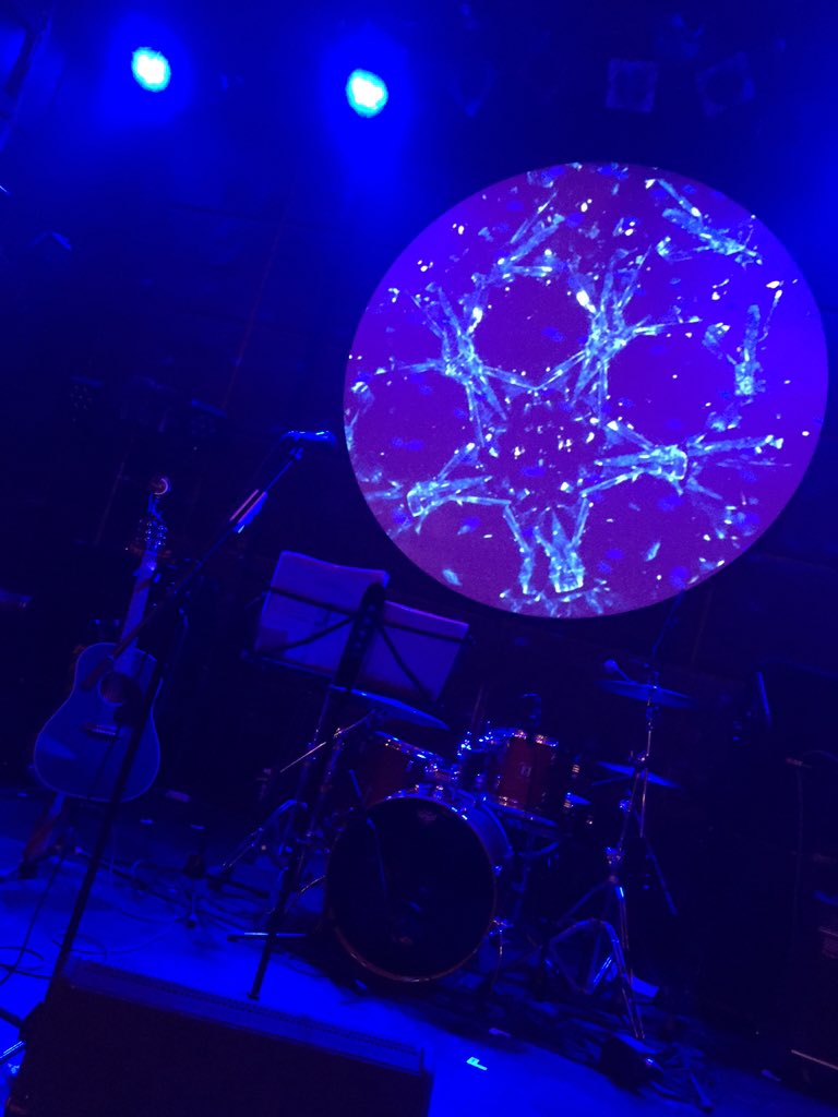 8ryoko's tweet photo. 青山 月見ル君想フ
arrival art...♪*ﾟ今日のセトリ良かったなぁ～
久しぶりのDrunk!も楽しかった。
大満足のライブでした(^^) https://t.co/JCI8XSsaux
