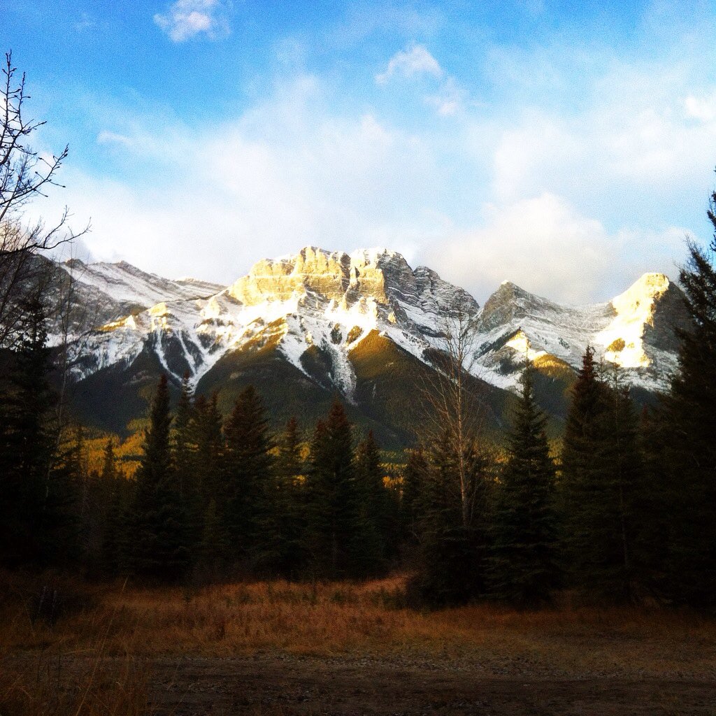 AliCatArt's tweet photo. And then there was sun! Postcards available shortly. #NotOttawa https://t.co/6TPDyuDl1K