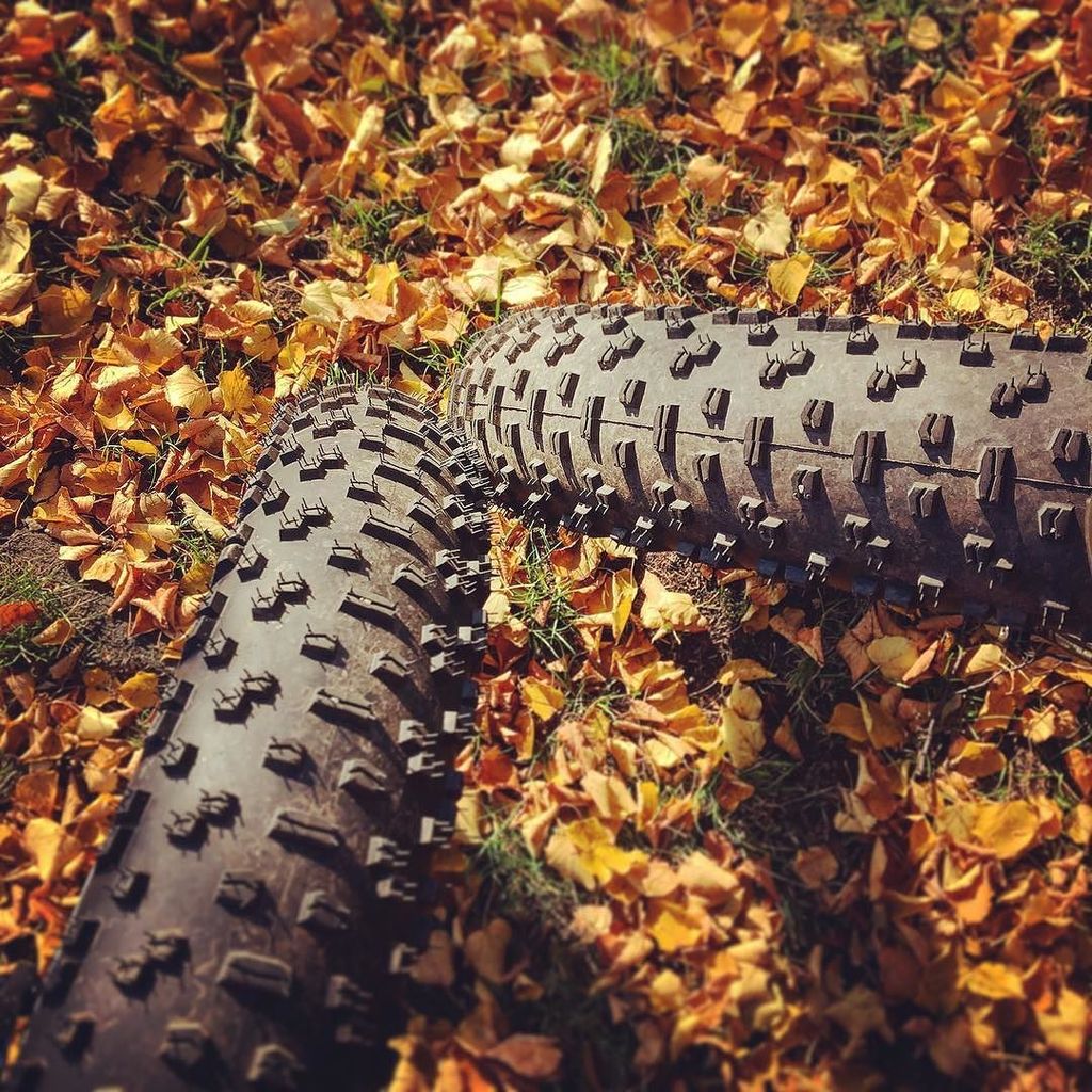 TuttoMTB's tweet photo. kolonkaga / #bike #bucycle #rower #koło #ride #go #las #jesień #wood #autumn #colours #colour #yellow #red #fatbike… https://t.co/GDxA63gEdB