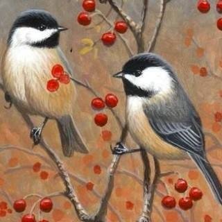 Nuramin Manao 0821nuramin Twitter