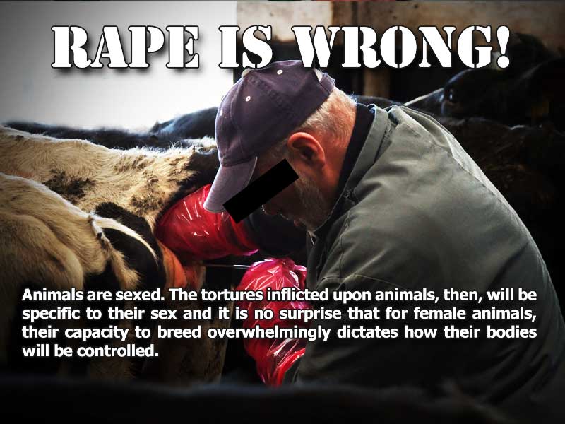 JaySusV's tweet photo. Milk is 4 calves not humans.
#farm365 #dairy #cheese #icecream #milkfacts #uddertruth #PartsUnknown #WorldVeganDay https://t.co/Sddq4g8J0N