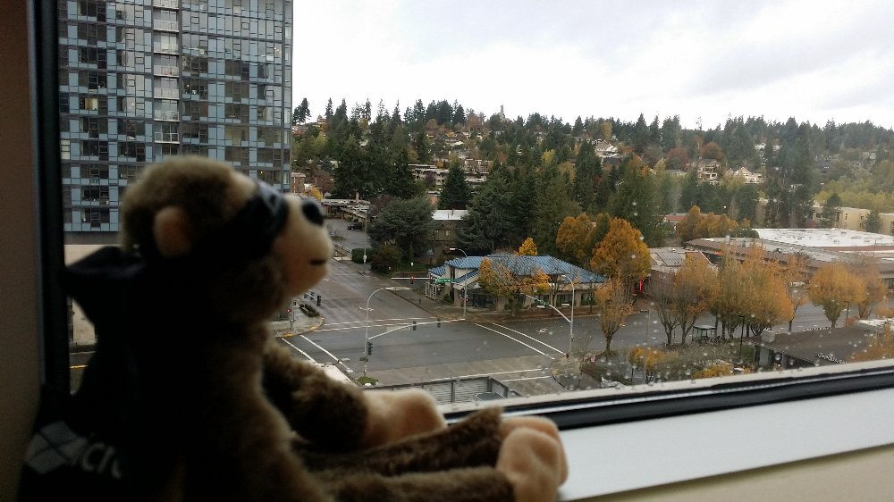arcanecode's tweet photo. I finally got #sqlmonkey out of bed. Time for #mvpsummit breakfast #mvp15 https://t.co/qYFl1Y9QEx