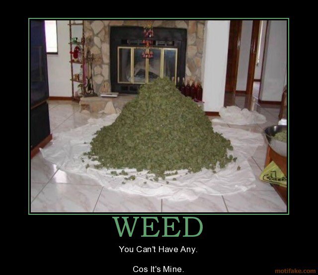 Bunitupnow tweet picture