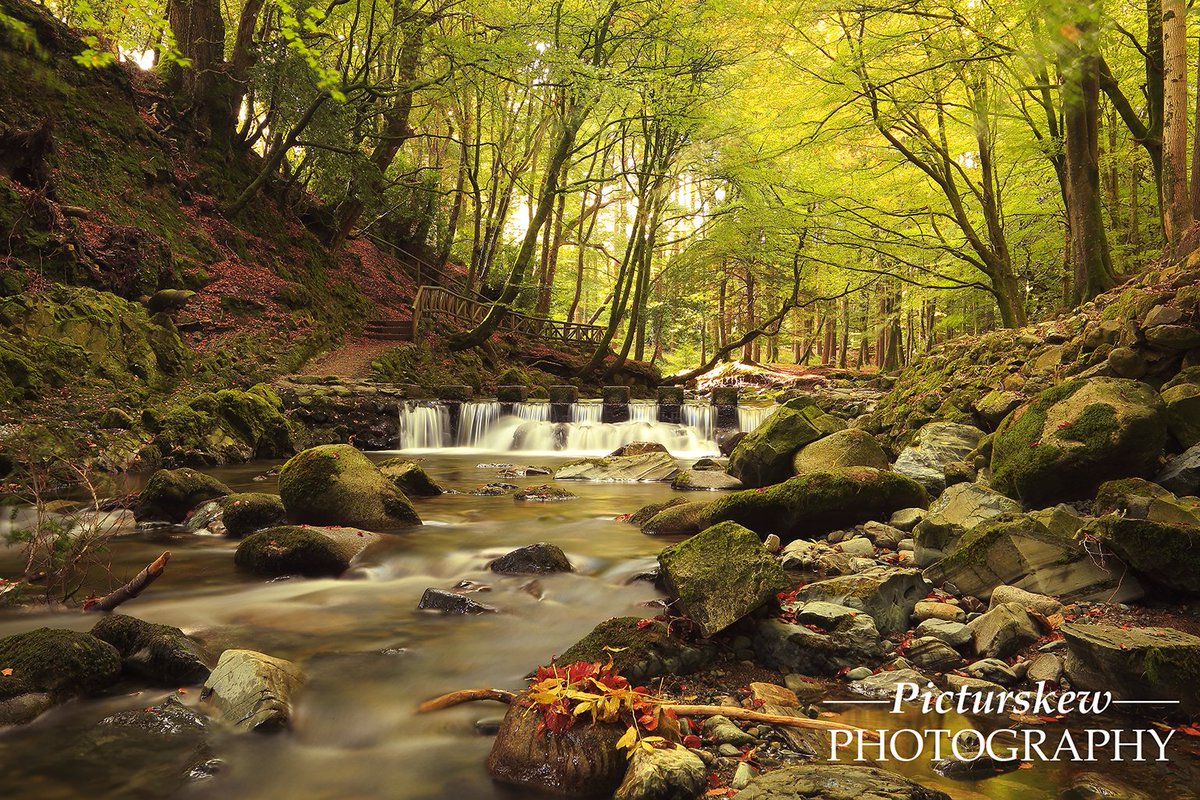 PicturskewPhoto's tweet photo. @CanonUKandIE #Tullymoreforest Co Down #5d3 https://t.co/Tp0tHKWoQe