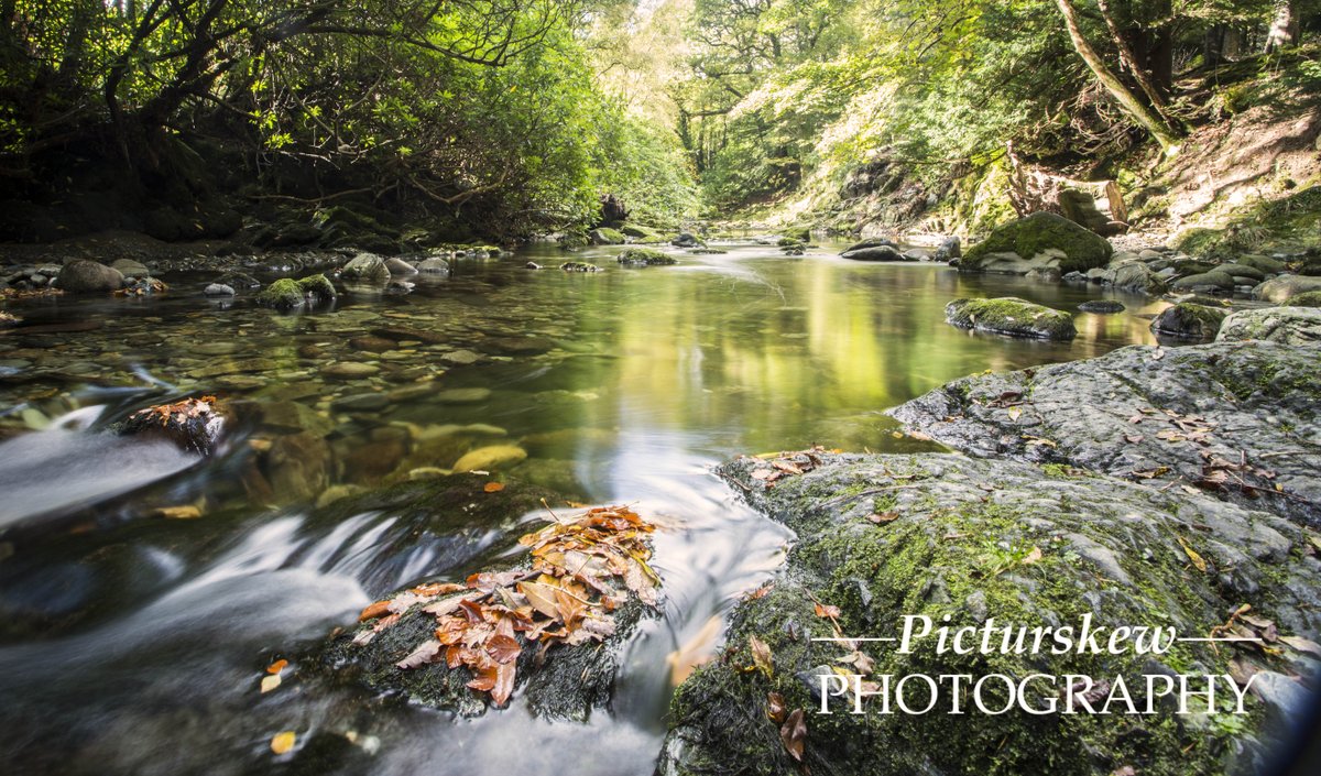 PicturskewPhoto's tweet photo. @CanonUKandIE #Tullymoreforest Co Down #5d3 https://t.co/Tp0tHKWoQe