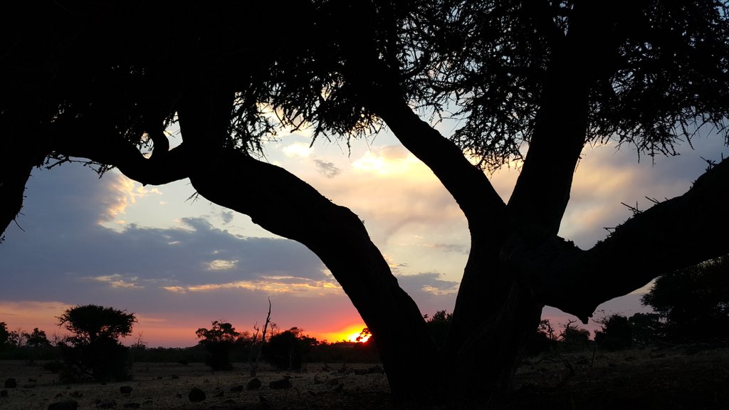 Tumelo and I still under our tree. There's a breeze, which might be warm but it so beats the relentless heat of 2day