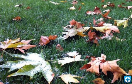 Ўзбекистонда 1—2 ноябрь кунлари қор ёғиши мумкин tibbiyot.uz/yurtimiz-tibbi…