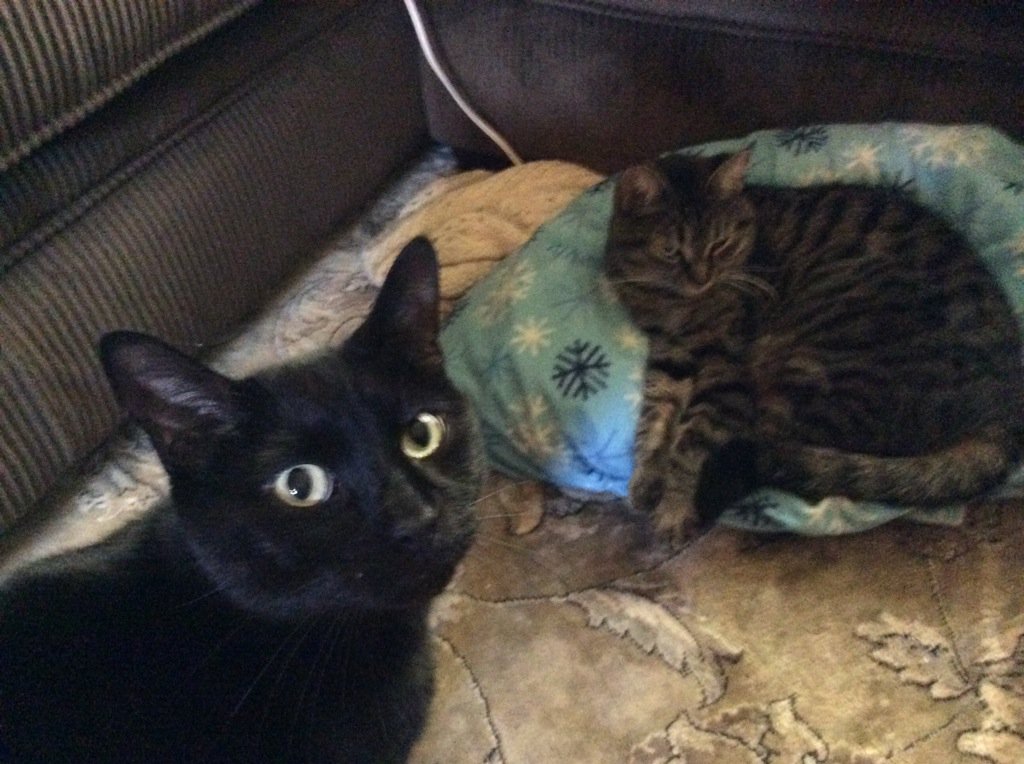 Everyone's tired this morning!