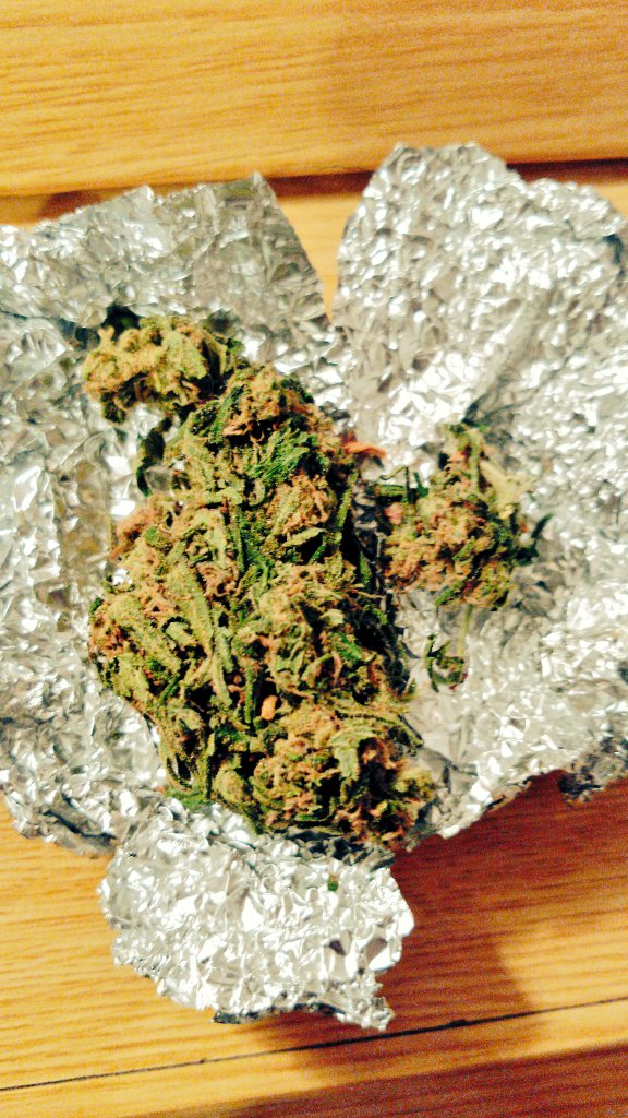 Kunfupeta's tweet photo. Creo que con esto vamos a pasar una relajada tarde de domingo! Buenos humos para todos #weeda #kunfucogollo https://t.co/0HWKiAiSeM