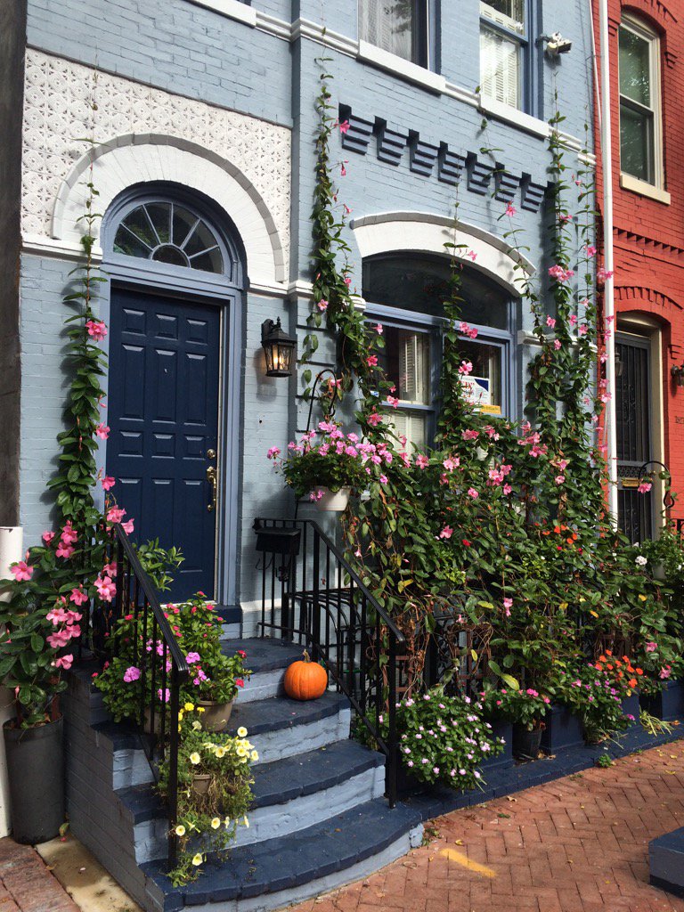 kenvogel's tweet photo. Such a pretty facade. #SwannSt #DC https://t.co/SsgNvA2Nc4