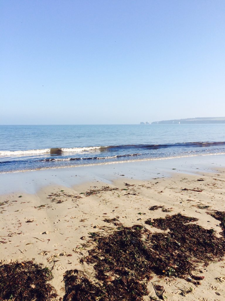 TREATmyHOUND's tweet photo. Lush day at the beach! Back to sewing now! Xx #beachdog #dogsoftwitter https://t.co/w8Ttaq8TXj