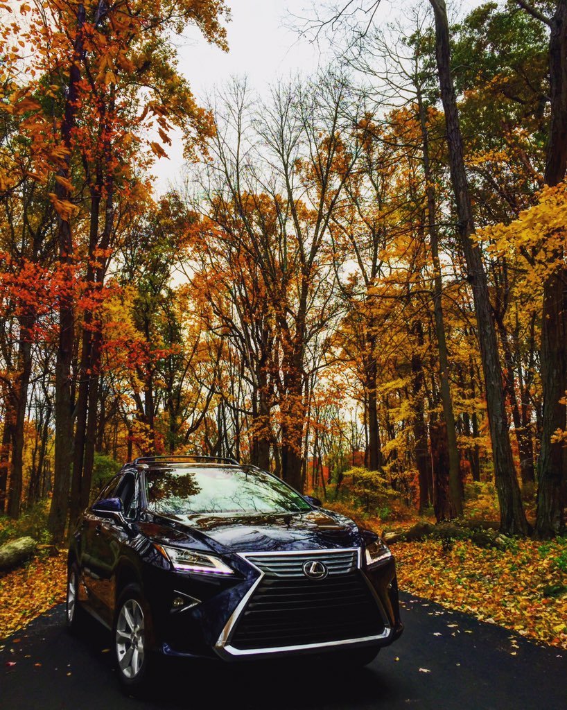 LexusEast's tweet photo. Fall is here! And the all new #Lexus #RX wants to go on an adventure! https://t.co/r3jBUbQR07