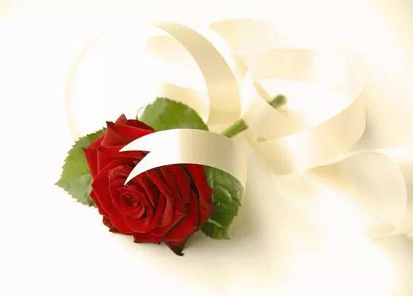 yahoofff333's tweet photo. مساء الهنا والشوك https://t.co/axOkgDC7Ff