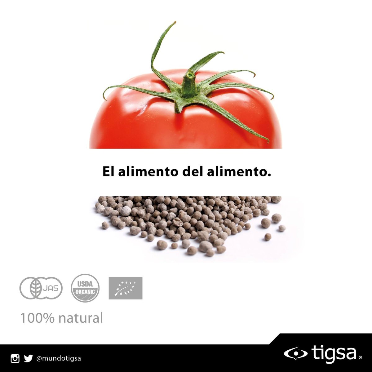 MundoTigsa's tweet photo. El alimento del alimento.
#agro #mundotigsa https://t.co/5kikxoydSg