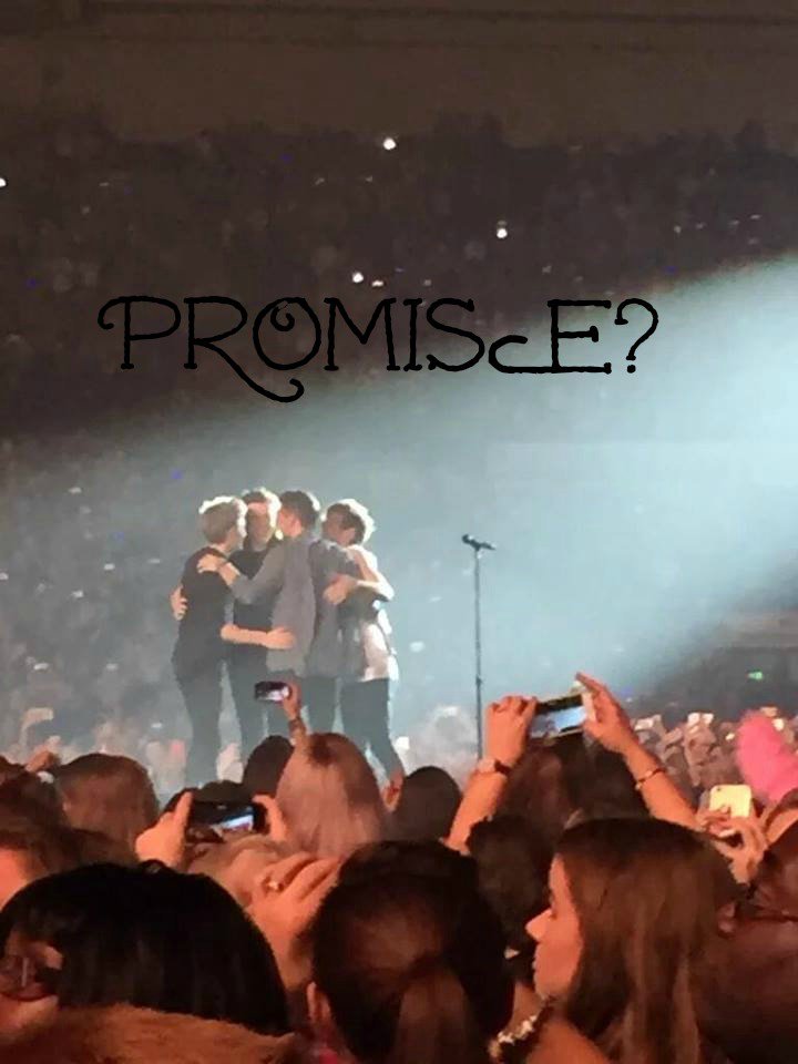 DirectionersSe8's tweet photo. #SerbianDirectionersPromise 
Promise? 
DB https://t.co/z92cvIRZjb
