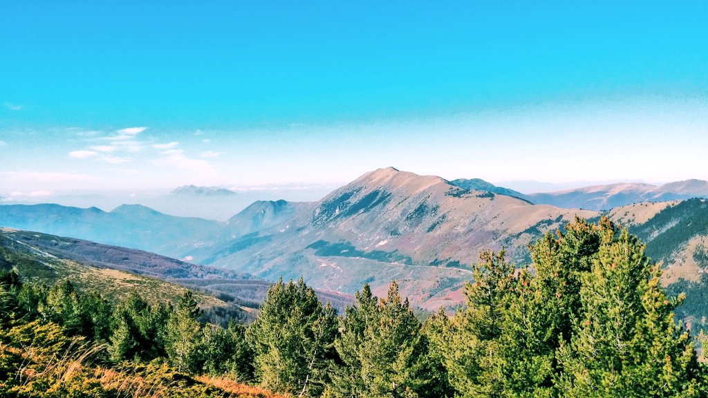 GoldenZambak's tweet photo. #Prevala #Prevalac #Hiking #Nature https://t.co/ARgdcOq240