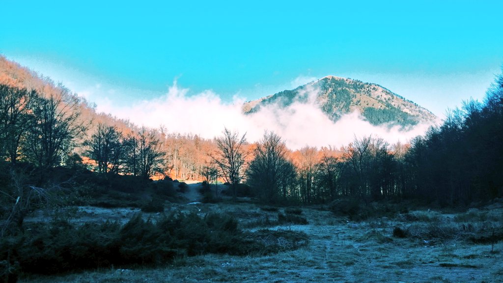 GoldenZambak's tweet photo. #Prevala #Prevalac #Hiking #Nature https://t.co/ARgdcOq240
