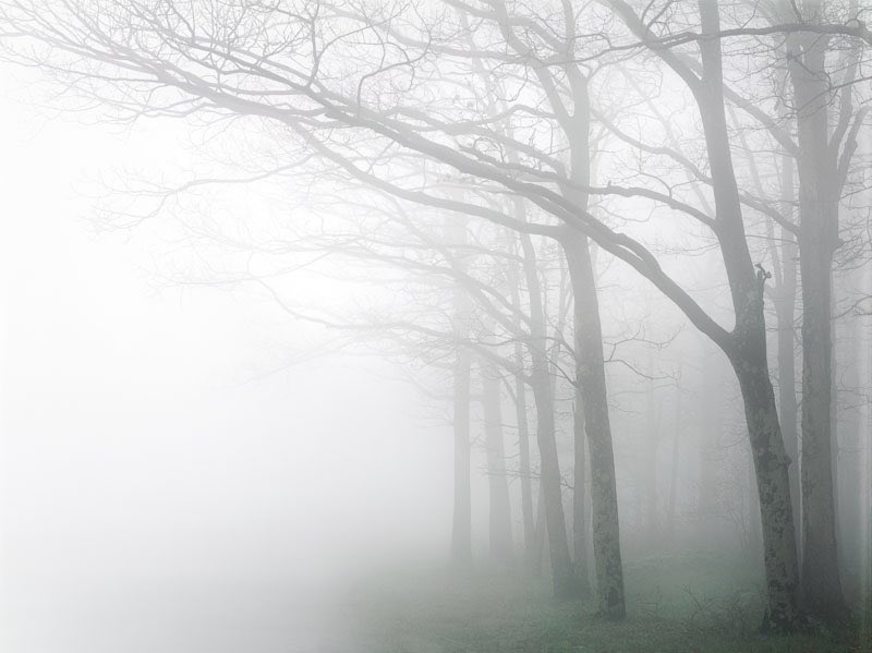 Barra Best on Twitter: "Watch out for some sense pockets of #fog tonight. Already quite thick in places. #spooky. https://t.co/BsDtHbT3B2"
