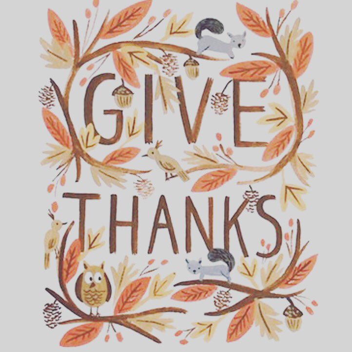#HelloNovember give thanks everyday, there is so much to be grateful for. 🍂