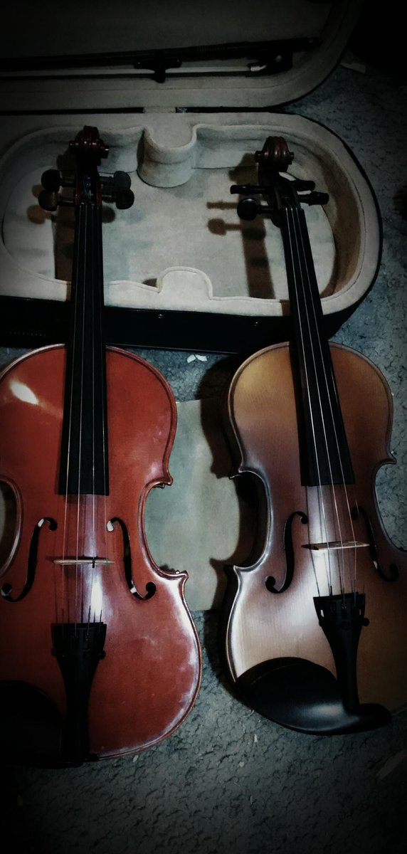9a027bfda33044c's tweet photo. Violin type of day. https://t.co/PUopht1Ck2