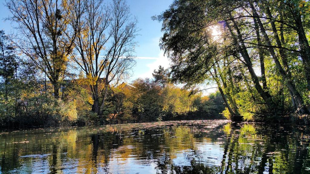 remirem2's tweet photo. Etrechet ..vue de la riviere #indre #berryprovince #regioncentre #chateaurouxmetropole #LandscapePhotography https://t.co/7YQbtfFGM1