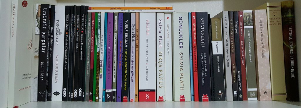 Smgeatan's tweet photo. Kitaplığın en sevilen rafı yeniden düzenlenir hobaleeyy 🙋🙋 

#SylviaPlath #NilgünMarmara#TezerÖzlü #YusufEradam https://t.co/uvIpHISqPl