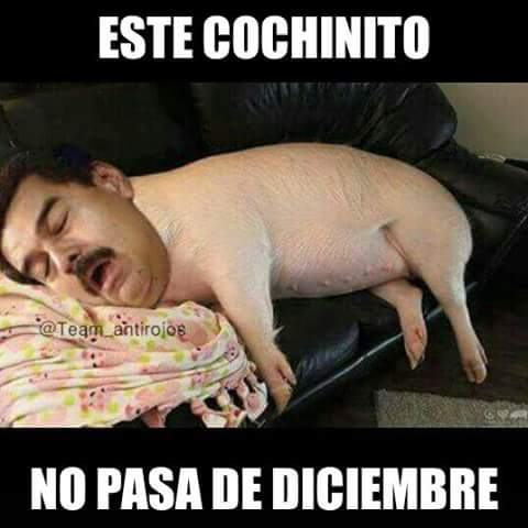 walter_pabon's tweet photo. https://t.co/Y2FV7O4HFp