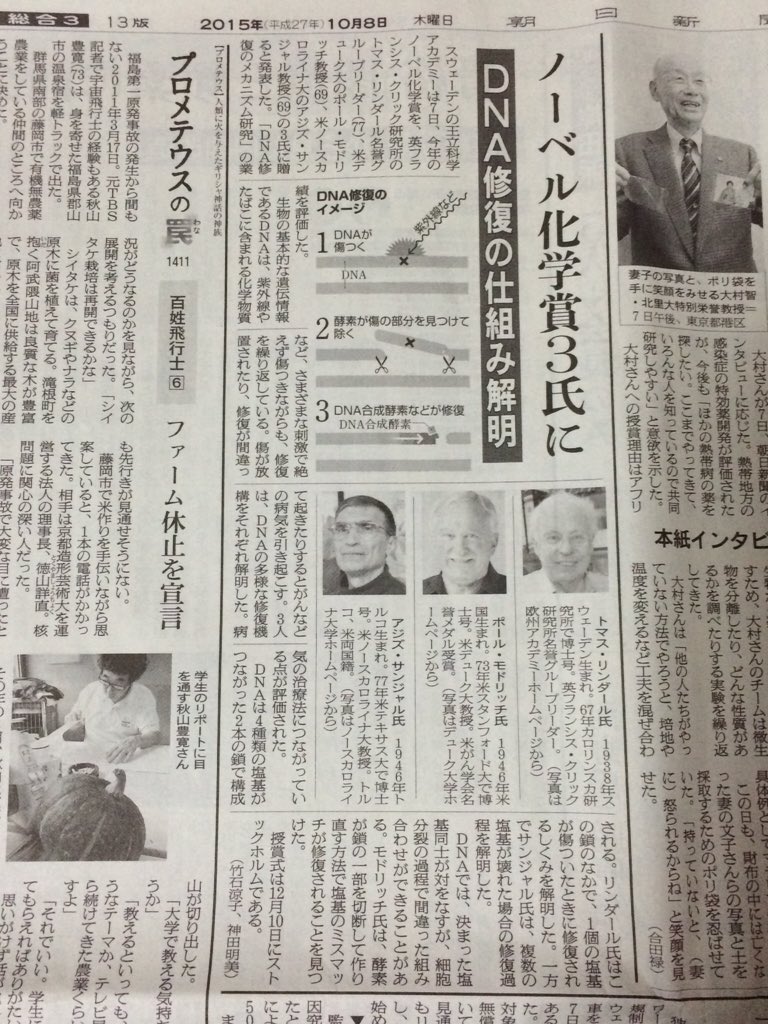 OKAPI_SB's tweet photo. DNA修復のしくみ https://t.co/l9PWVSvX8v