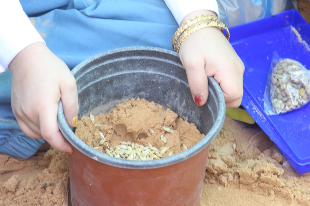 عالم رياض الصالحين On Twitter وحدة الرمل نشاط الرمل والزراعة فصل المطيعات Https T Co Fdgod3rna7