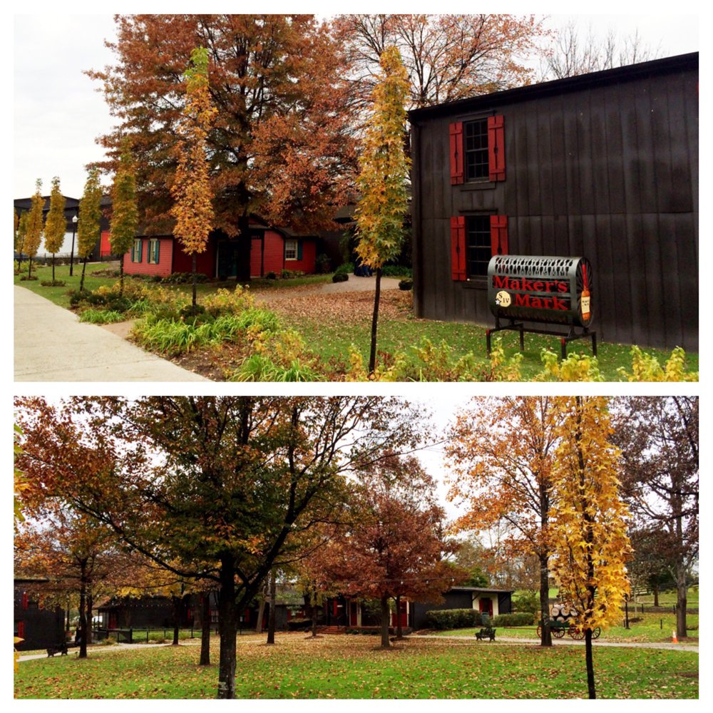 MakersMark's tweet photo. #FallForMakers RT @MintJulepTours: Photos captured on recent visit. The distillery is just swimming in fall beauty! https://t.co/r02CELsJjL