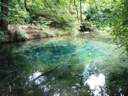 champ_ardenneFR's tweet photo. Etonnant ! #SourceBleue naturelle en #HauteMarne, en #Champagne. https://t.co/kBr2ywJv3j