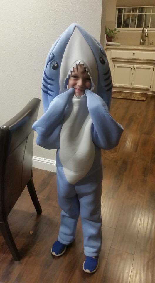 Jauzofficial's tweet photo. YO MY LITTLE NEPHEW CUTE AS FUK #SHARKSQUAD OG SINCE DA WOMB https://t.co/qFYW7Q2cLL