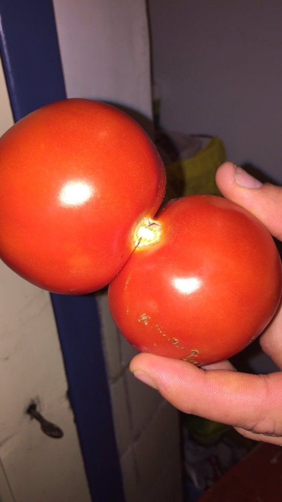 Hallo <a href="/JumboSupermarkt/">Jumbo Supermarkten</a>, bedankt voor de Siamese tomaat we gaan er van smullen