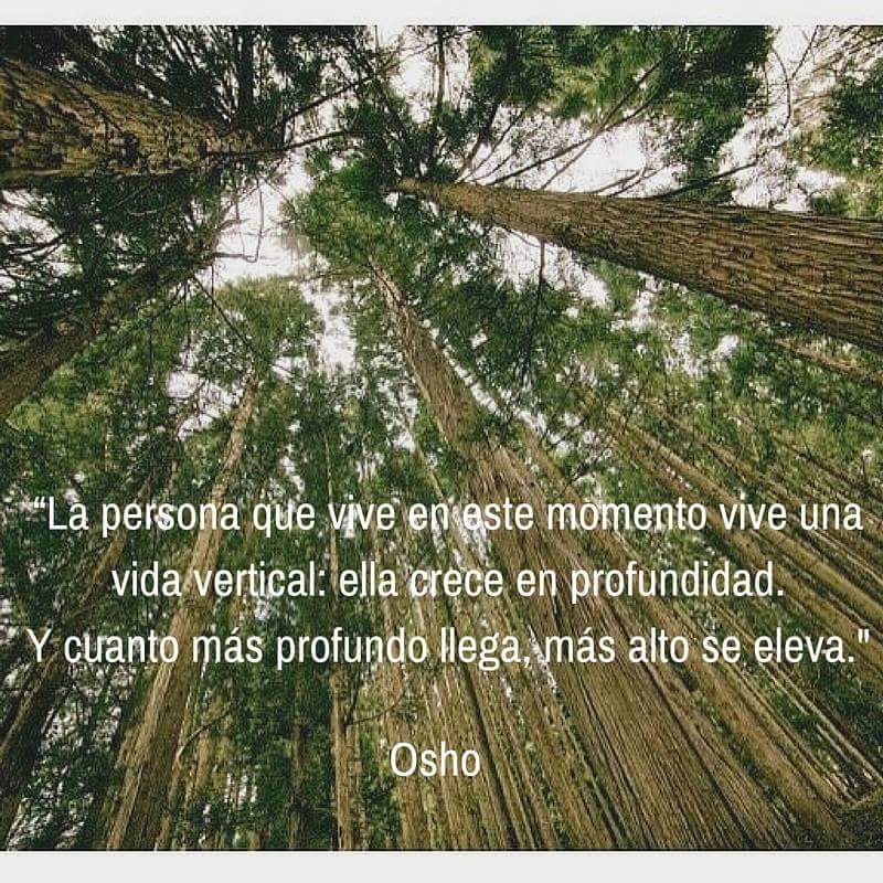 Ivansatsang3562's tweet photo. ......! https://t.co/UYgtZOcfsi
