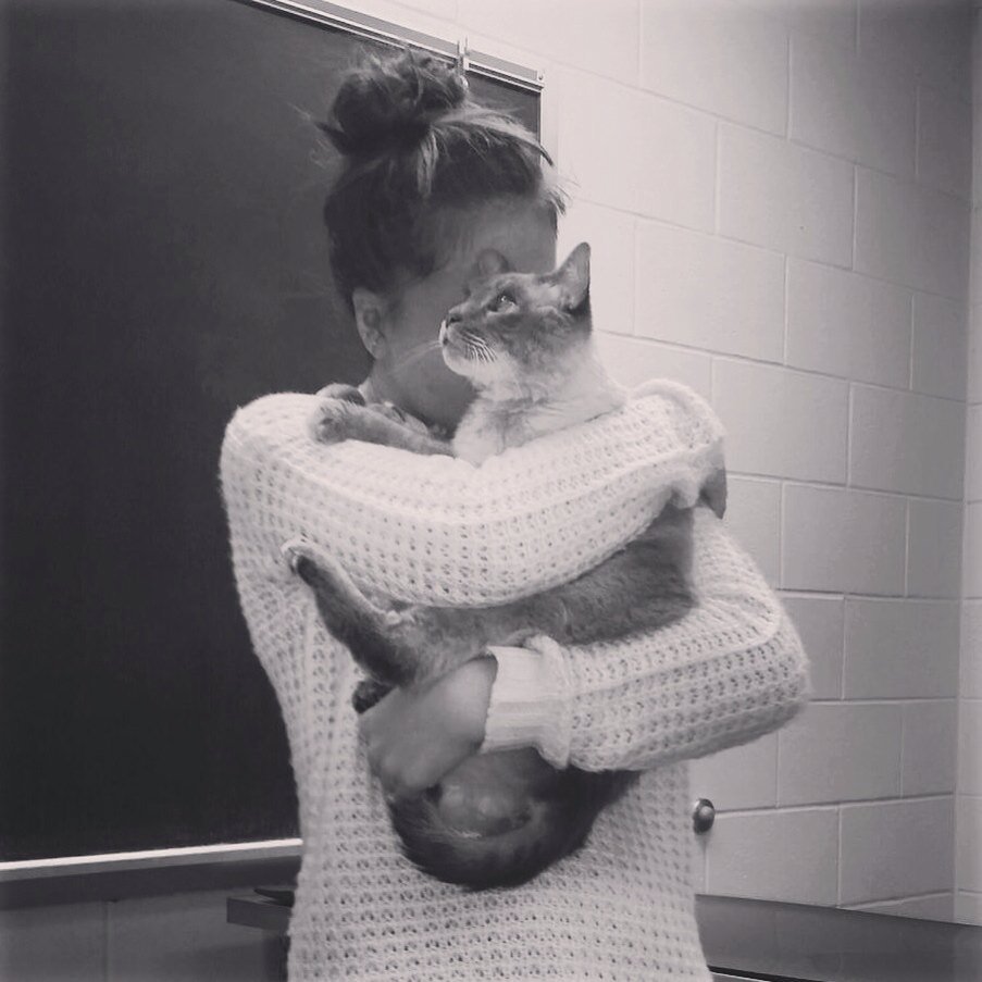 rachie_bake's tweet photo. This fat ball of fur is going to be so missed. Rest in peace baby 😇 https://t.co/URlVkWE6Hx