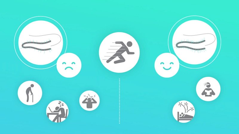 lifehacker tweet picture