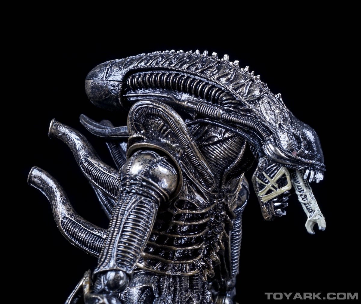 xenomorph warrior