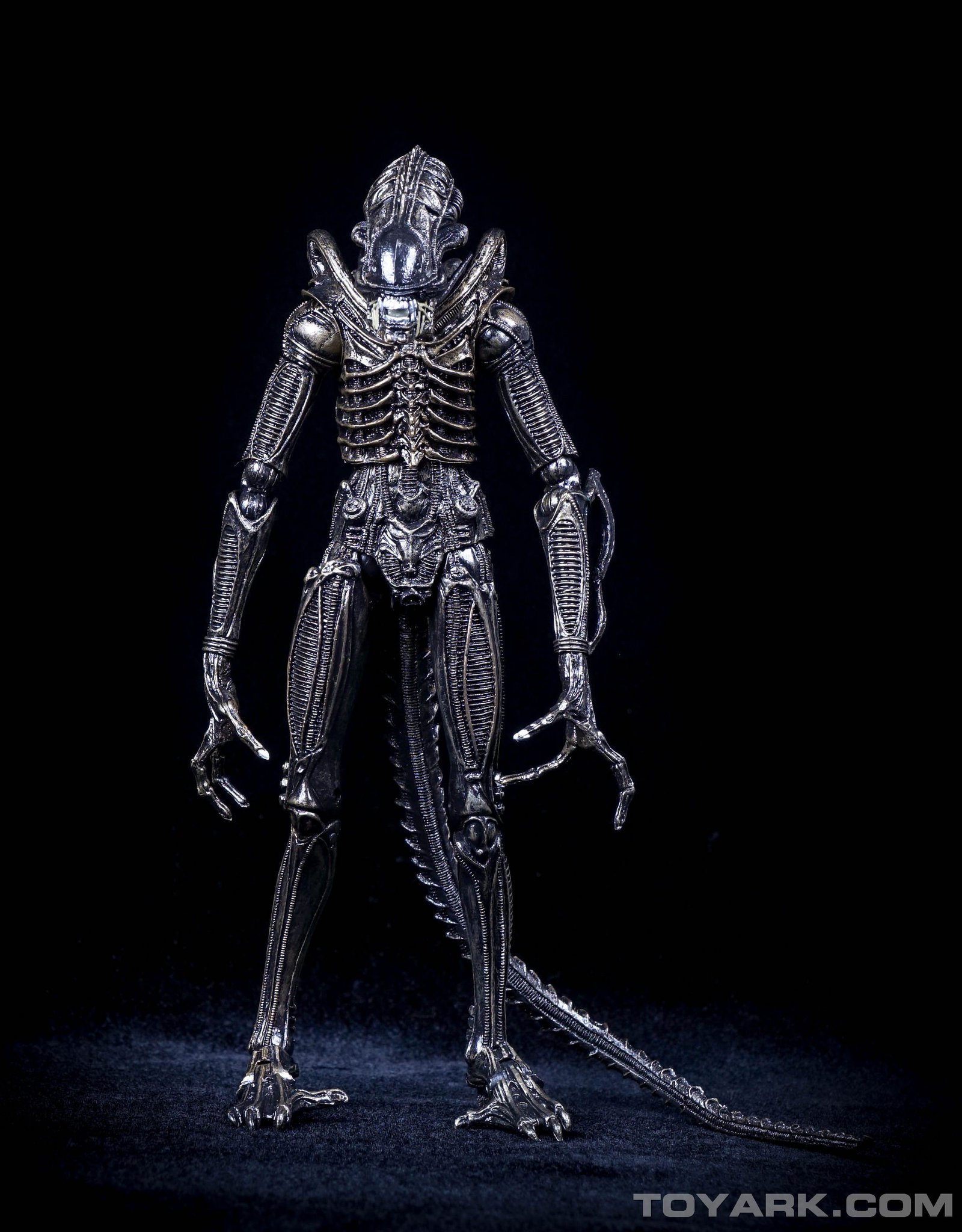 xenomorph warrior