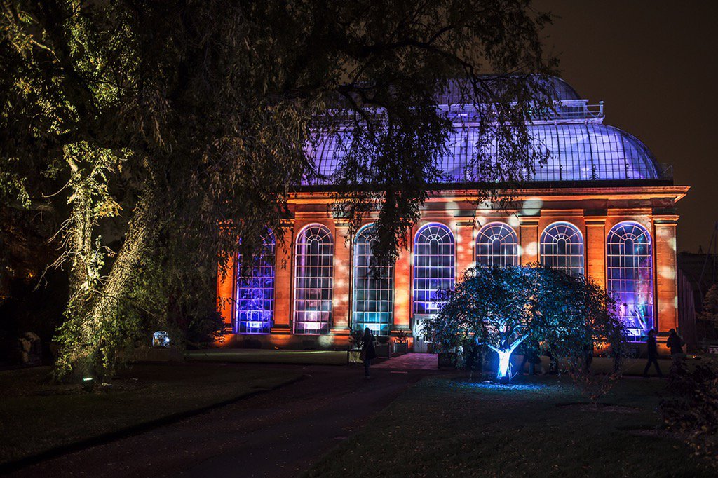 BotanicLights's tweet photo. The Palm House this year, tweet #BLspring #BLsummer #BLautumn #BLwinter to change the display! #botaniclights https://t.co/KL3Nvnap8v