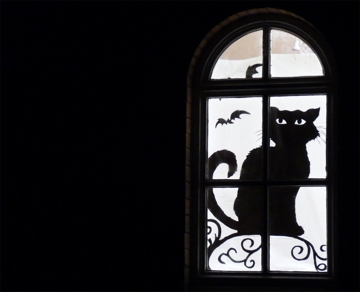 visithaddo's tweet photo. We've survived Halloween at Haddo! Hope you had a fantastic time if you came to any of our events this weekend https://t.co/3PjXqFPAwq