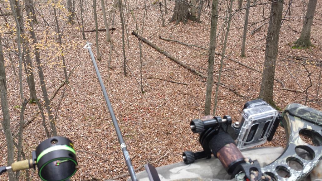 duckman883's tweet photo. Game on. #justhunt @GoPro https://t.co/j2izposVP5